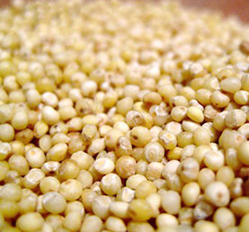 Millet