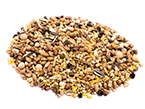 Animal Feed