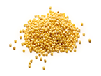 Millet