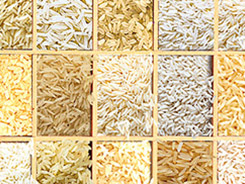 rice